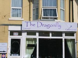 the dragonfly