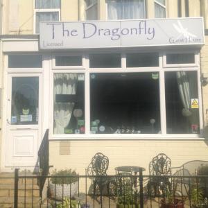 the dragonfly