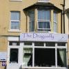 the dragonfly