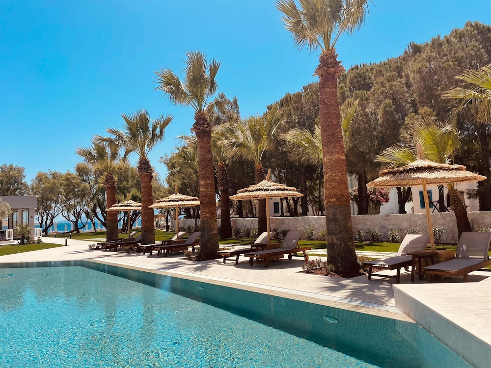 regia mare beach hotel and spa bodrum