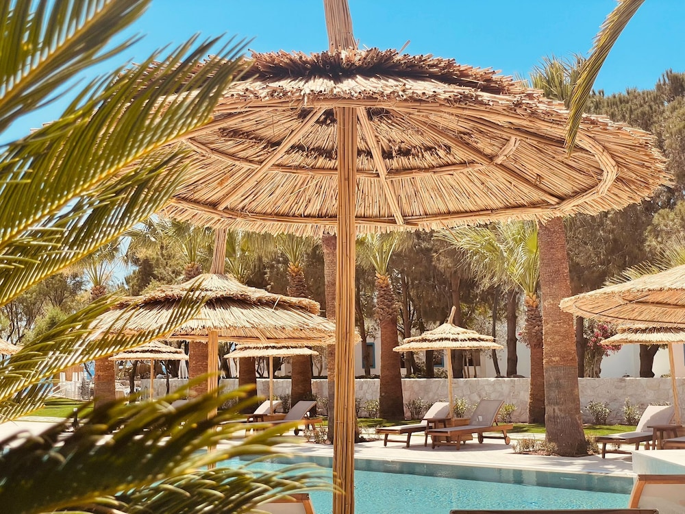 regia mare beach hotel and spa bodrum