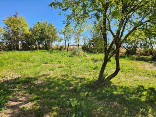 saint jean de sauves