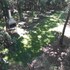 green house garden park