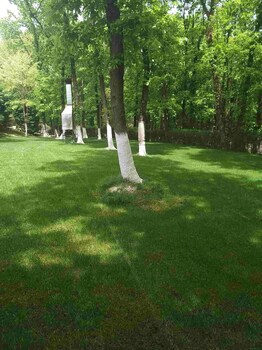 green house garden park