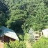 green house garden park