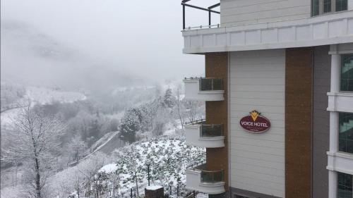voice hotel
