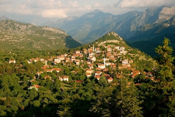 ibradi