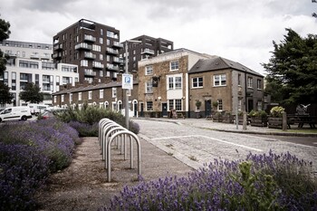 the pilot inn adults only