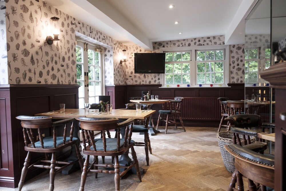 the pilot inn adults only