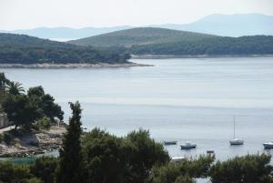 hostel villa zorana adults only