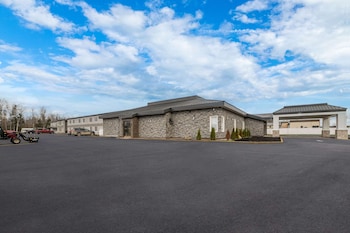 quality inn and suites