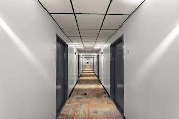 quality inn and suites
