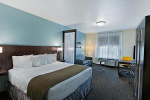 oxford suites bellingham