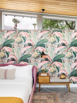 arrive palm springs adults only