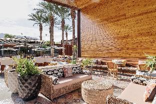 arrive palm springs adults only