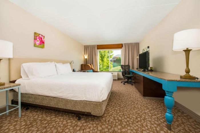 hilton garden inn charlottesville