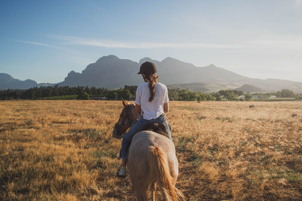 franschhoek boutique hotel