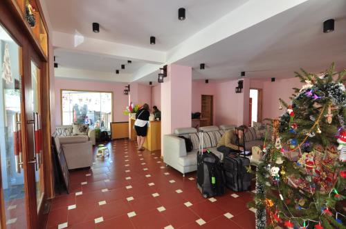 sapa scenery hotel