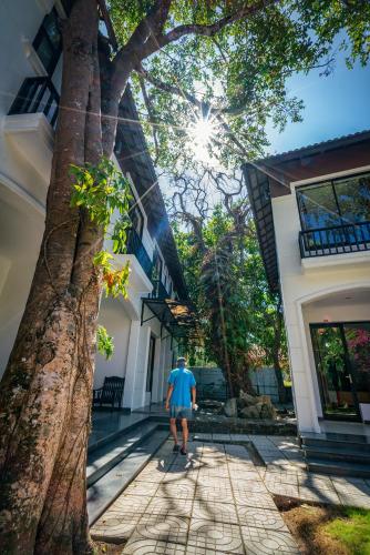 ven ven hotel ho coc