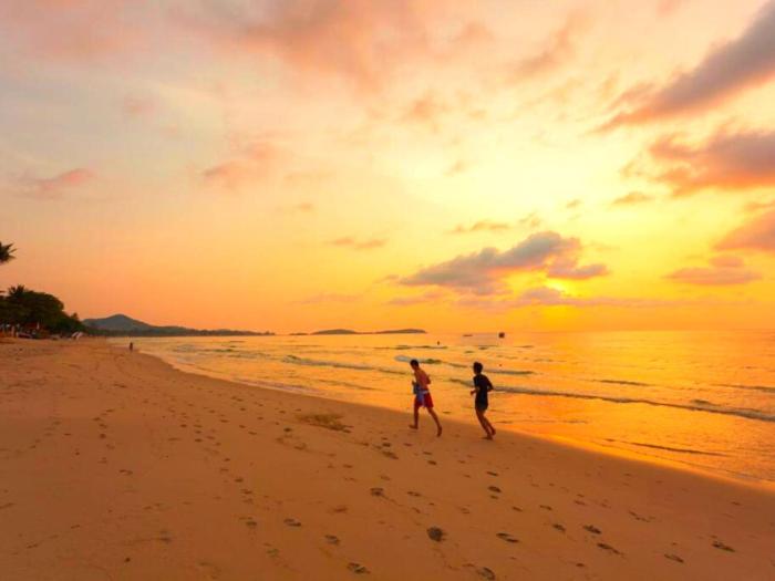 the samui beach resort