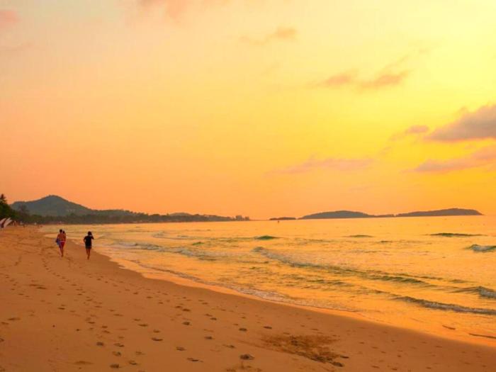 the samui beach resort