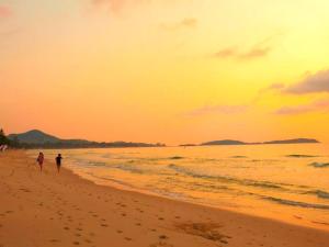 the samui beach resort