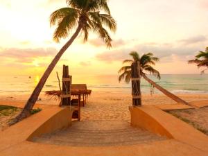 the samui beach resort