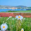 portmagee
