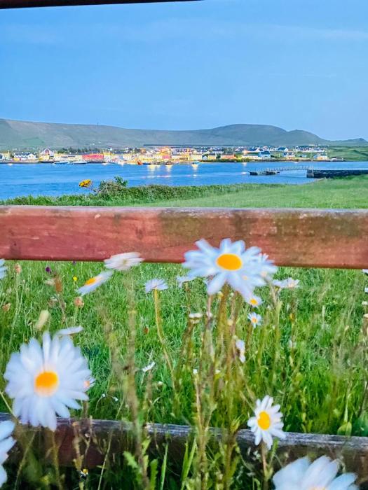 portmagee