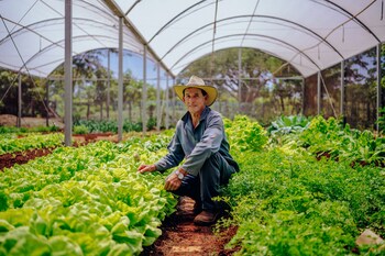 hotel fazenda salto grande