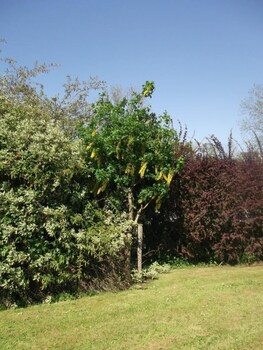 aisleigh guest house