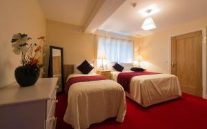 carrick on shannon