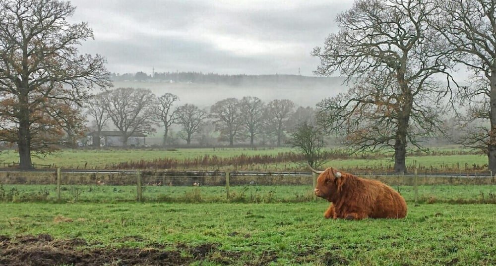 Hillview Park,Croachy>>Beauly,4 star