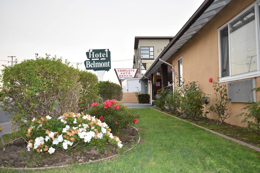 belmont