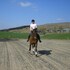 newtonmore