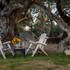 apple tree inn
