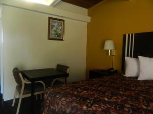 freer motel