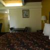 freer motel