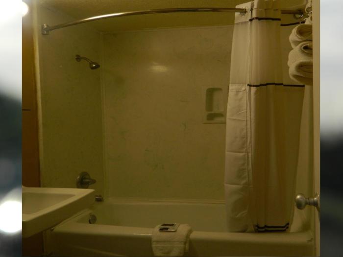 freer motel