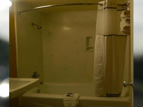Freer Motel,United States Of America>>Freer,2 star