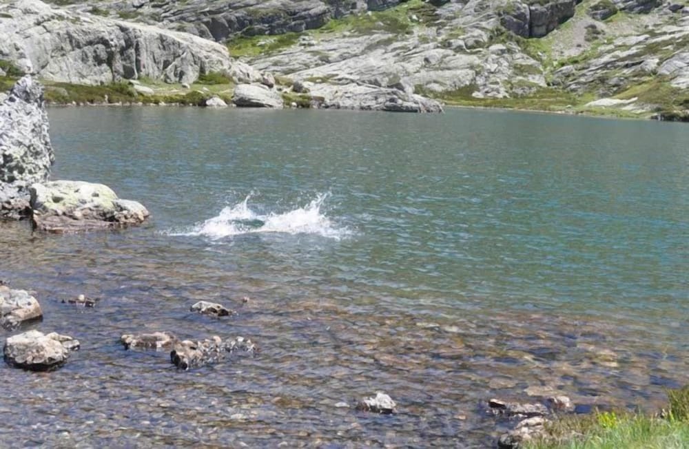 hotel rural la posada el sestil