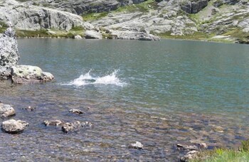 hotel rural la posada el sestil