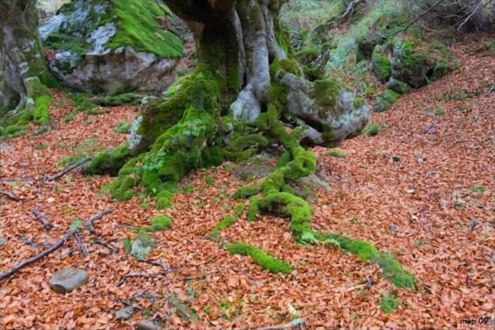 hotel rural la posada el sestil