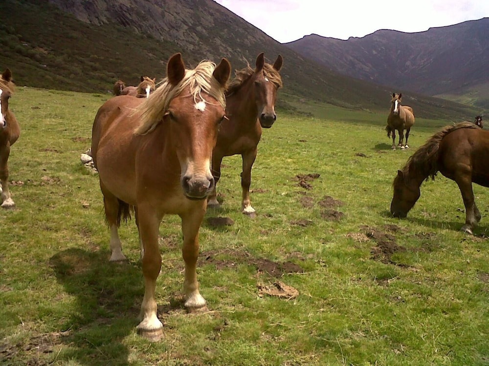 hotel rural la posada el sestil