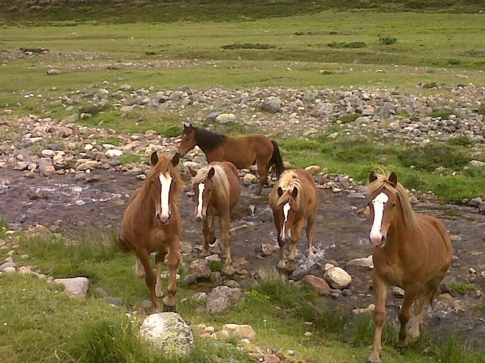 hotel rural la posada el sestil