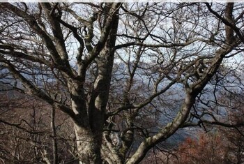hotel rural la posada el sestil