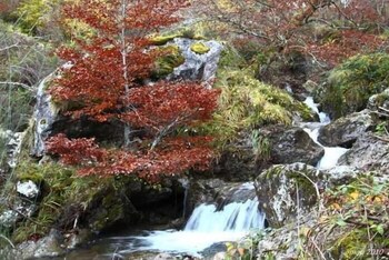 hotel rural la posada el sestil