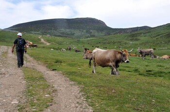 hotel rural la posada el sestil