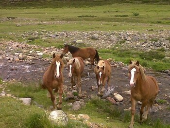 hotel rural la posada el sestil
