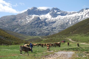 hotel rural la posada el sestil
